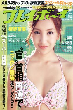 我的娇妻公务员